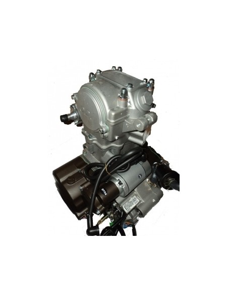 Recambios motor Zs250